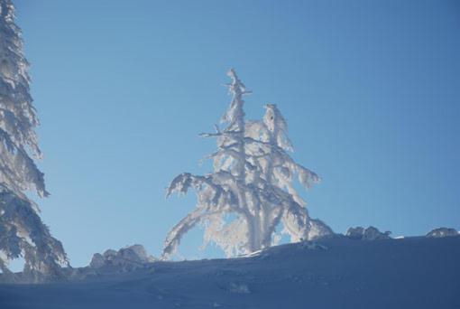 Hotel Haus Petersmann Ramsau am Dachstein Zewnętrze zdjęcie